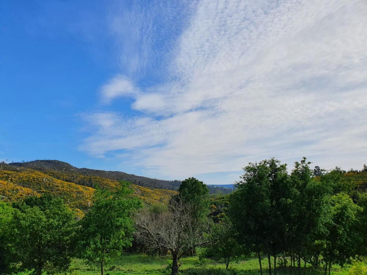 فيلا Quinta De Cerdeiro Moes المظهر الخارجي الصورة