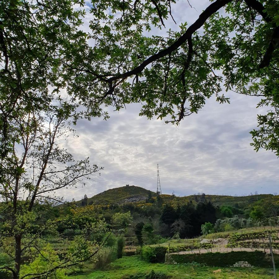 فيلا Quinta De Cerdeiro Moes المظهر الخارجي الصورة