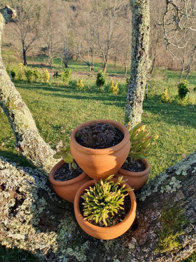 فيلا Quinta De Cerdeiro Moes المظهر الخارجي الصورة